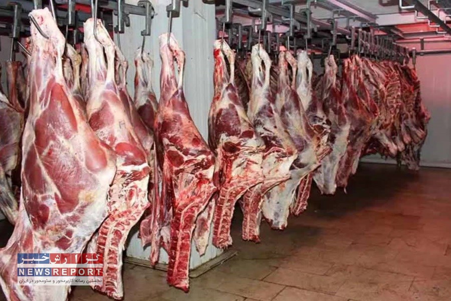 نزدیک به دو هزار و 600 تن گوشت قرمز در بیضا تولید و عرضه شد