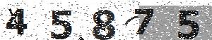 تصویر امنیتی