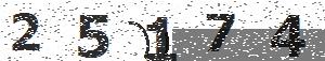 تصویر امنیتی