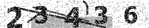 تصویر امنیتی